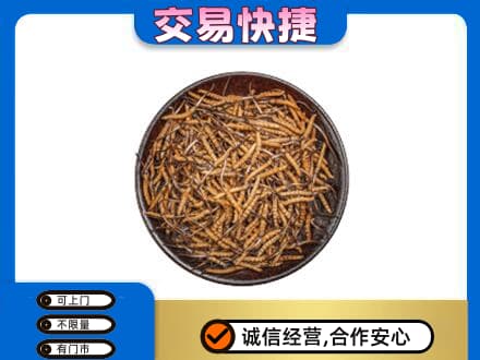 安庆市回收散虫草
